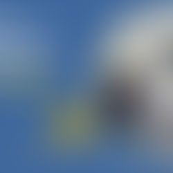 Master Modern Dentistry with Dental Implant Courses