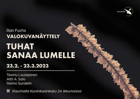 Four more days to my Rauma exhibition (Finland)