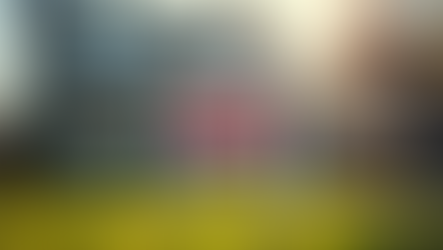 Steps to Successfully Remove PMI Insurance