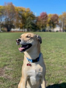 Sabo at the park