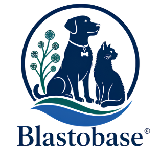 blastobase logo