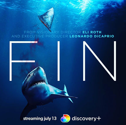 FIN