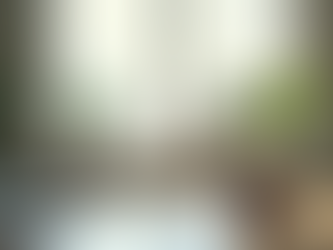 Skills for Transformative Leadership: Unlocking Success Together