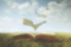 surreal pages of an open book fly free like birds in the sky.jpg