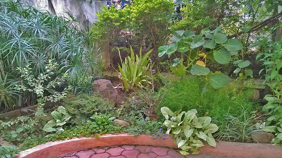 11337049_966959686676976_6239173211438004231_o (1).jpg