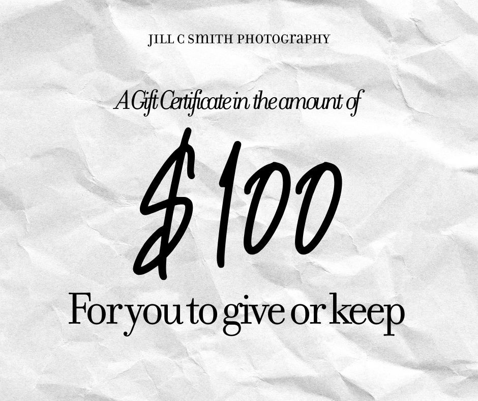 $100 Gift Certificate