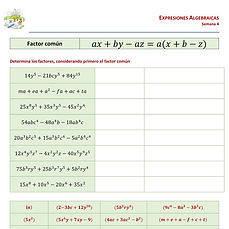 Álgebra - Factor Común_edited.jpg