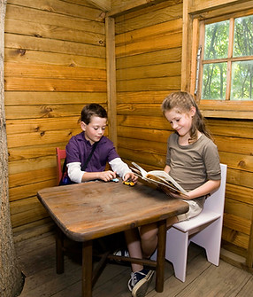 Cabin Reading