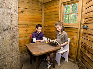 Cabin Reading