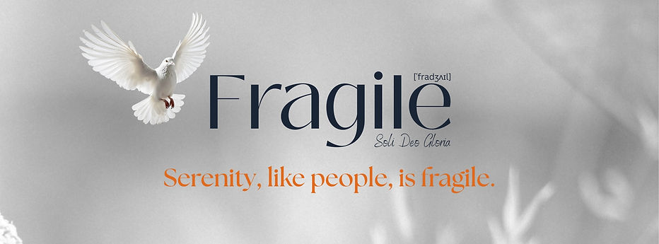 Fragile Web Banner.jpg