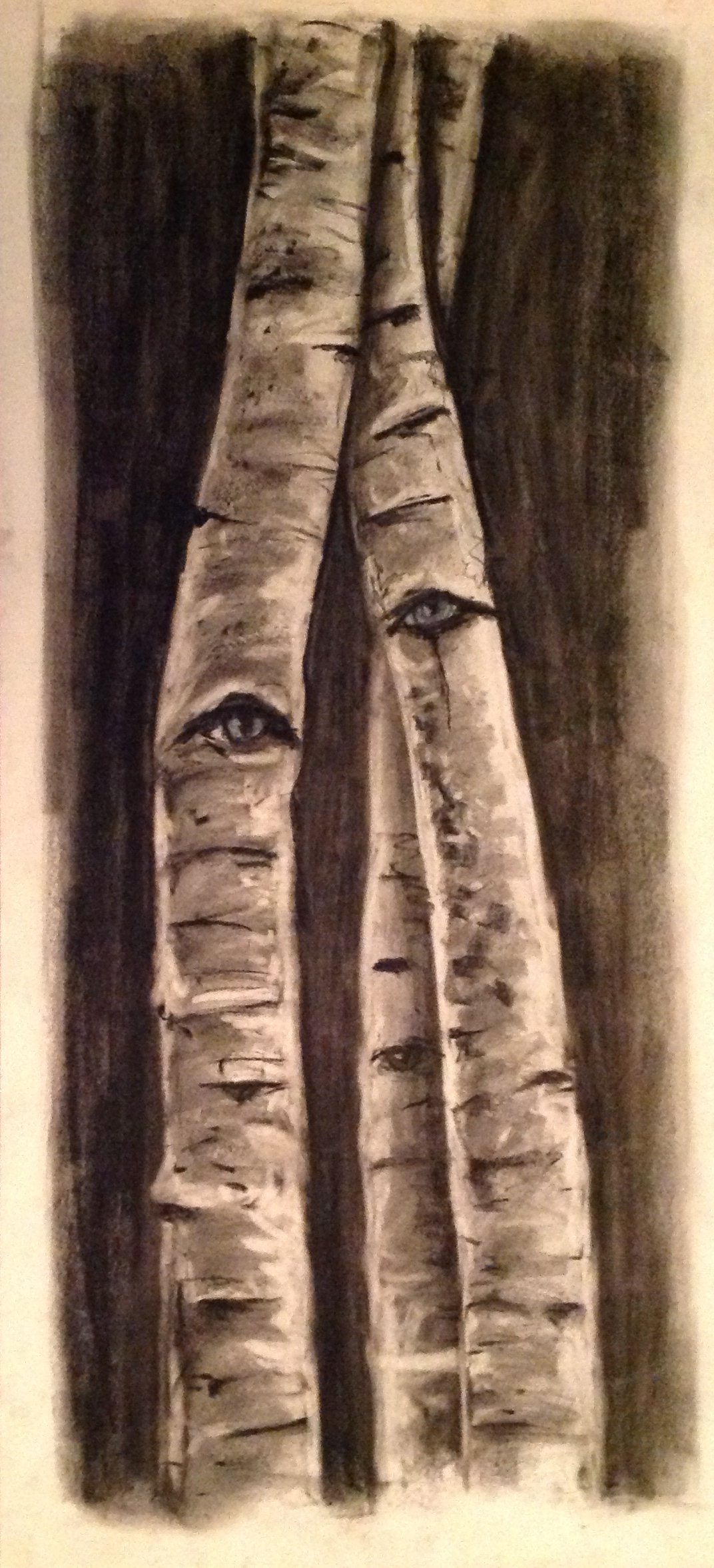 Beyond the Birch 12