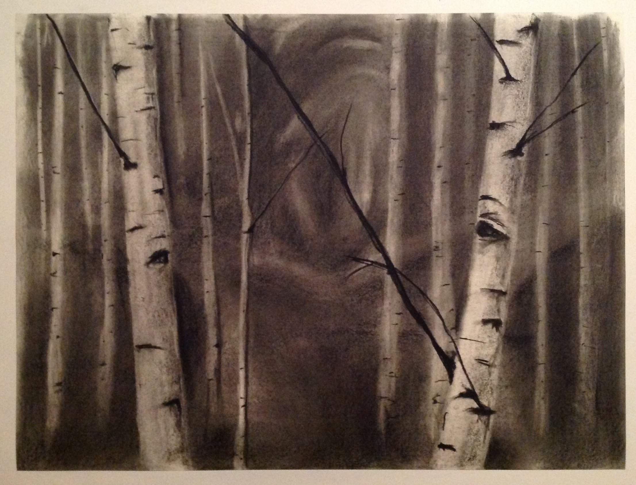 beyond the birch 7