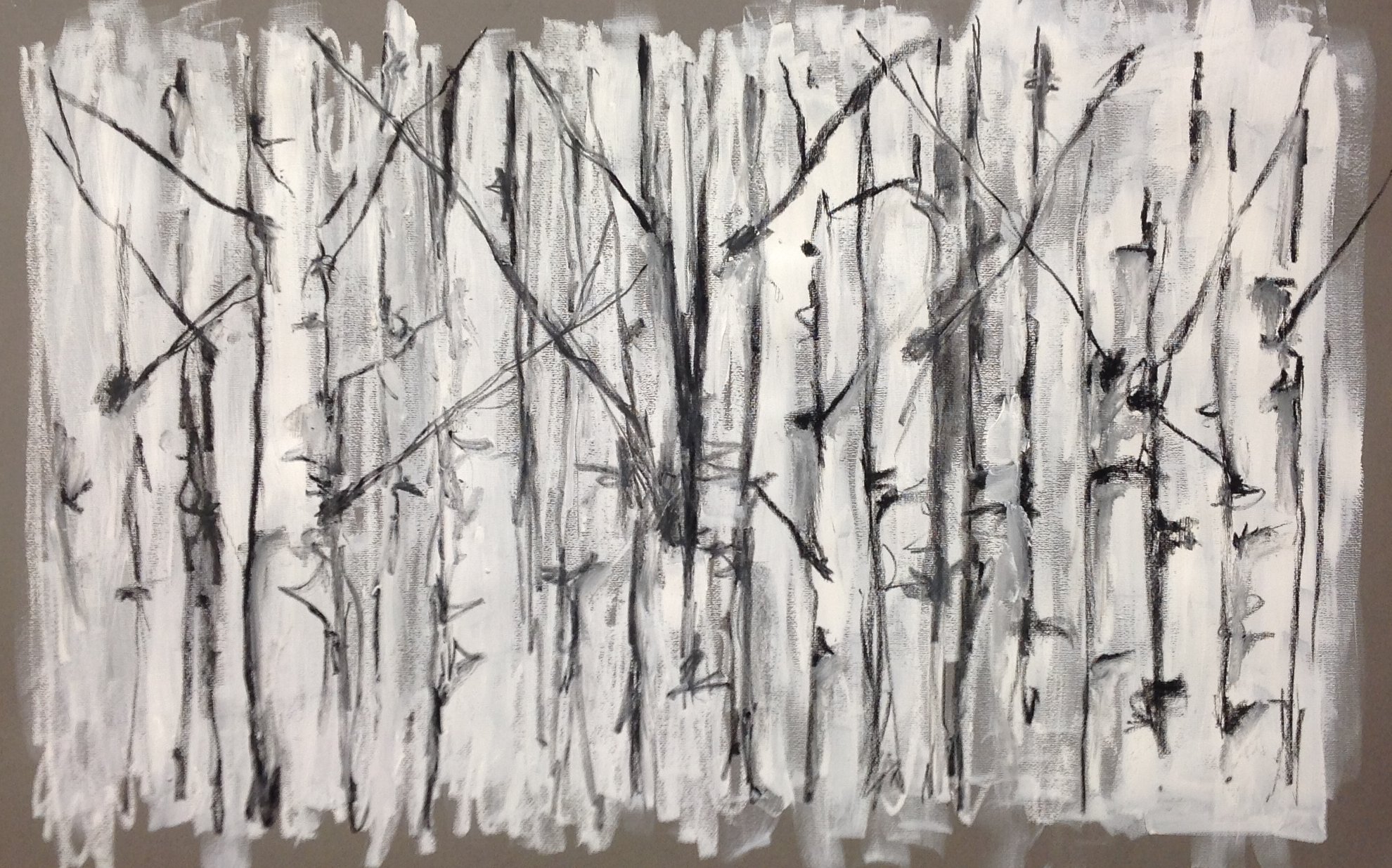 Beyond the Birch 10