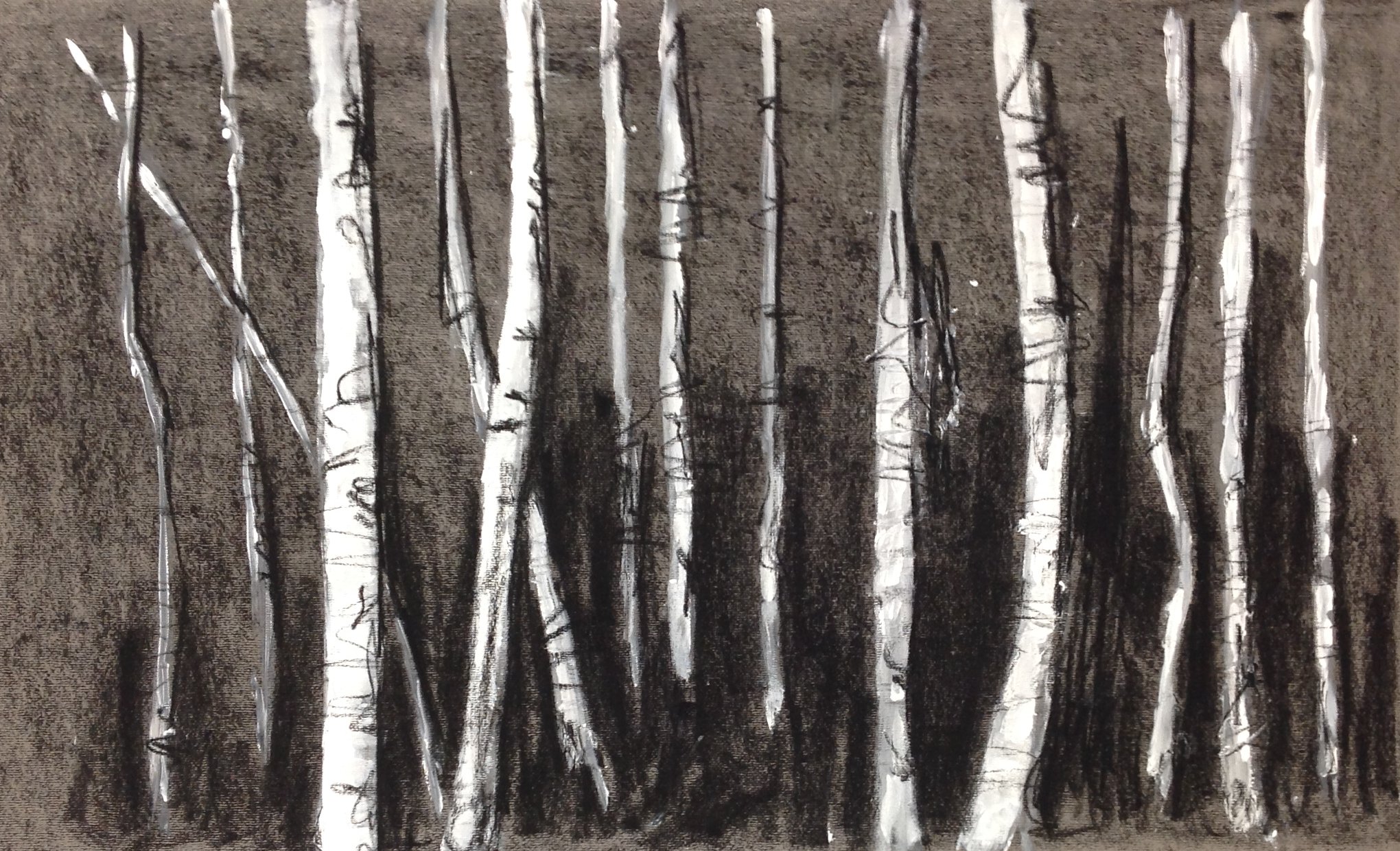 Beyond the Birch 9