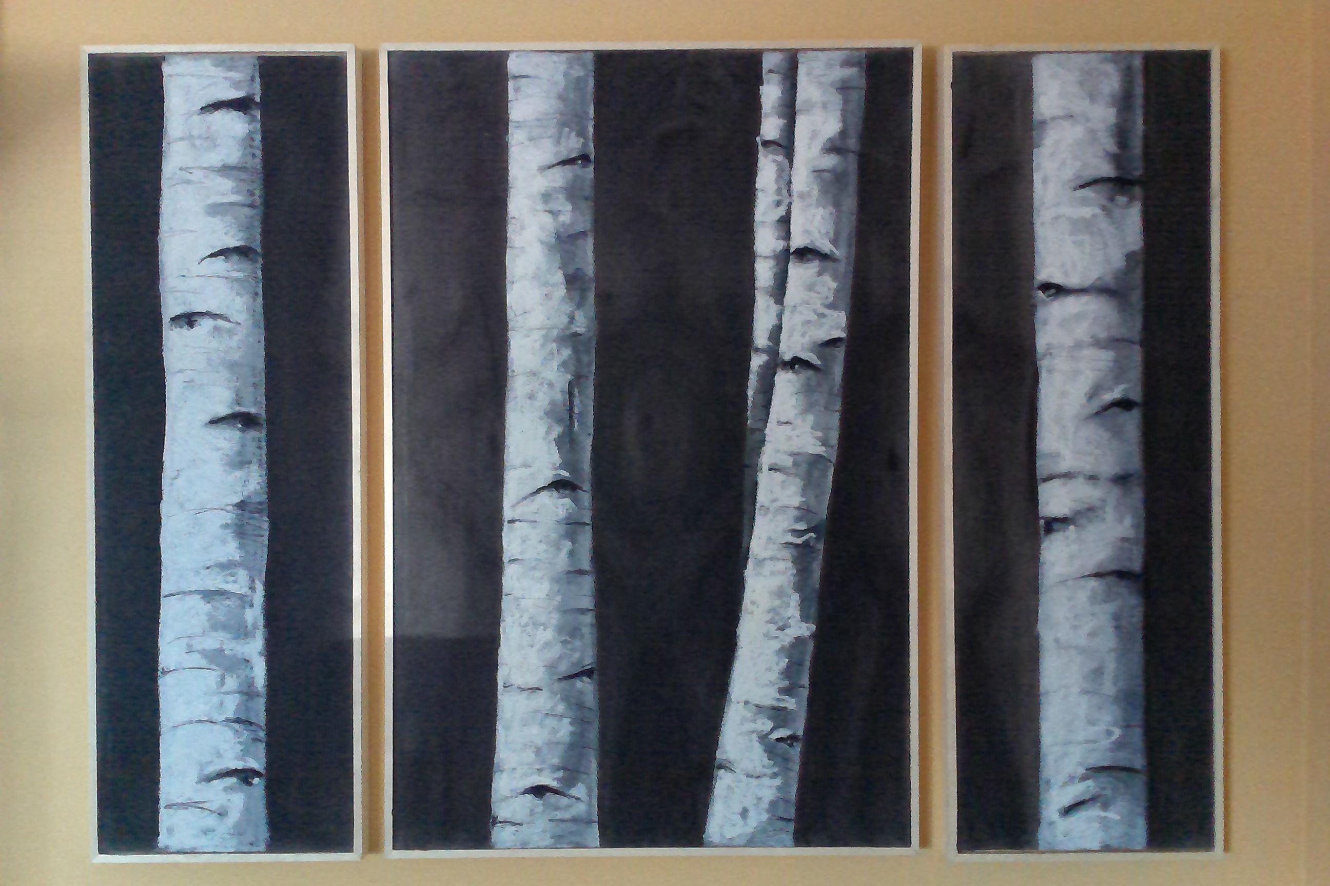 Beyond the Birch 17