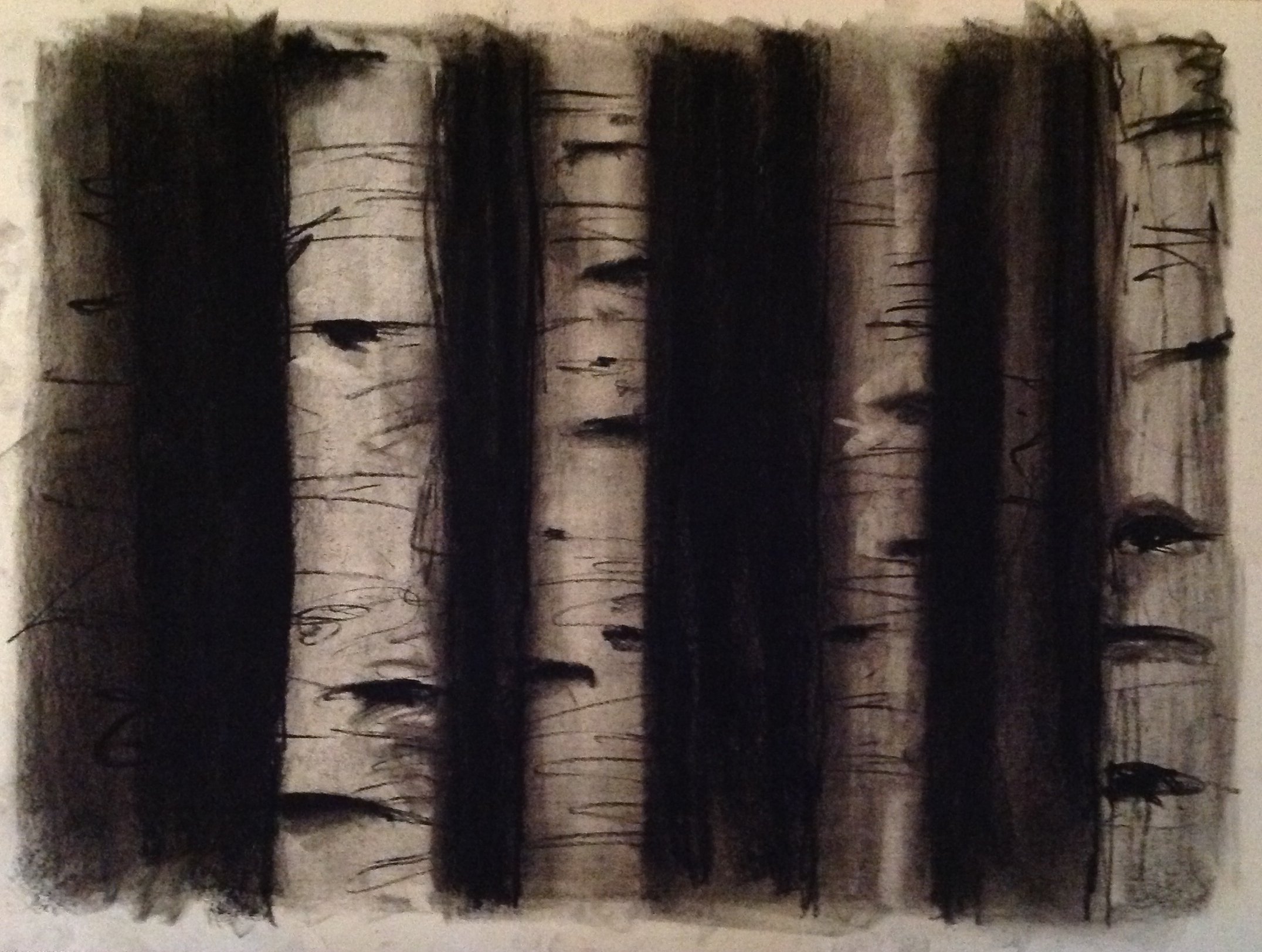 beyond the birch 4
