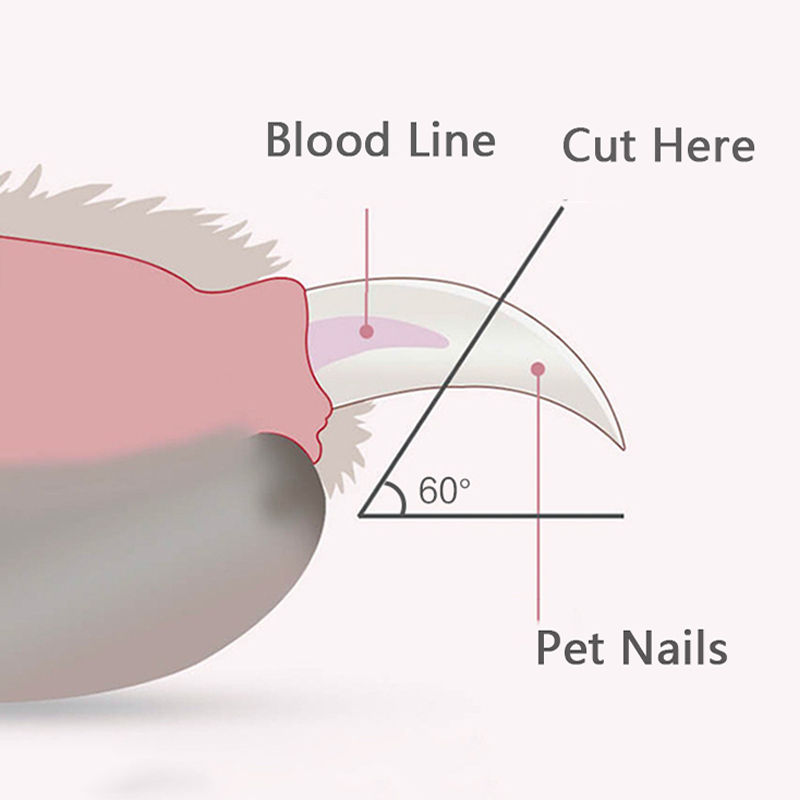 Thumbnail: Professional Pet Nail Clippers with Led Light Pet Claw Grooming Scissors for Dog