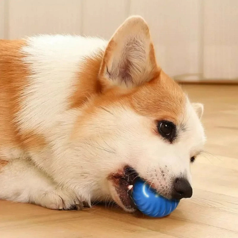 Thumbnail: Dog Toy Ball Automatic Moving Bouncing Rolling Ball USB Smart puppy Interactive 