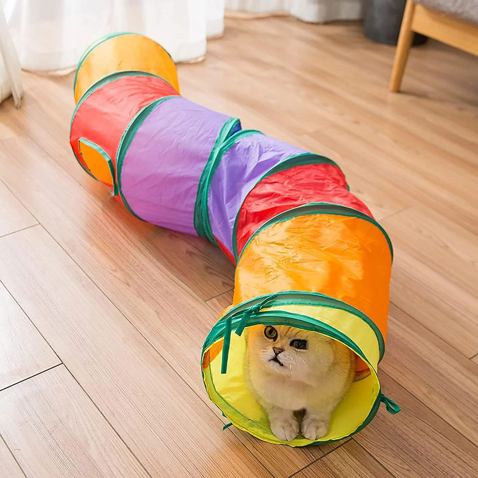 Thumbnail: Cat Tunnel Tube Foldable Cat Toys Kitty Training Interactive Fun Toy Tunnel Bore