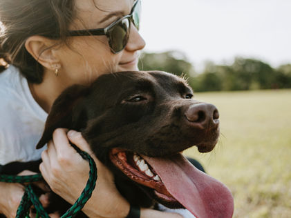 El mercado de mascotas