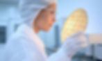 woman inspecting a wafer 2.jpeg