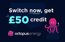 octopus-energy-referral-2.webp