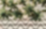 CopaBeach small.jpg