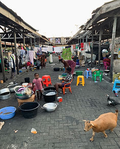 BTS-Image Zongo documentary of a slum showing a child a goat and colorful chairs
