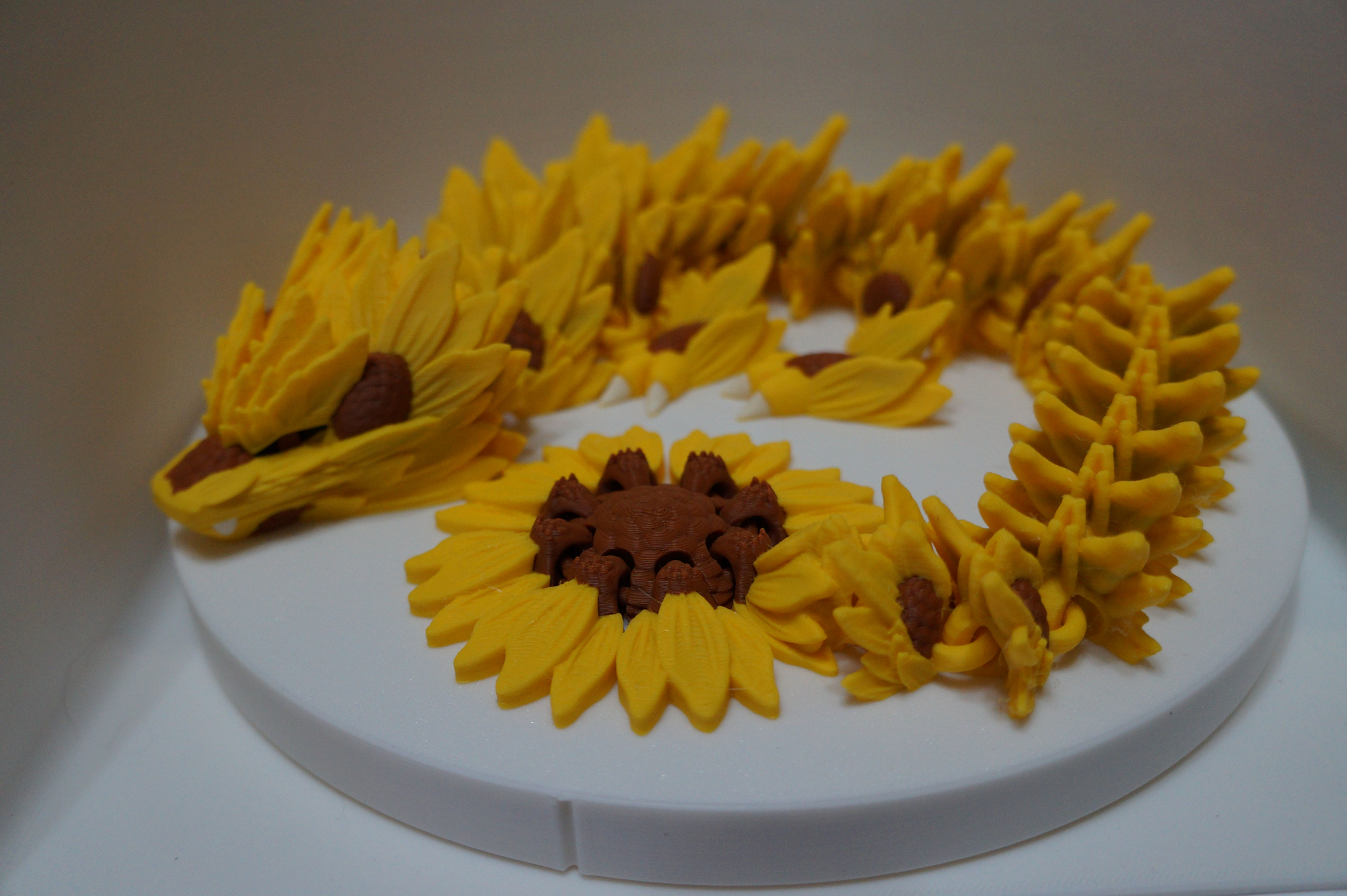 Sunflower Dragon