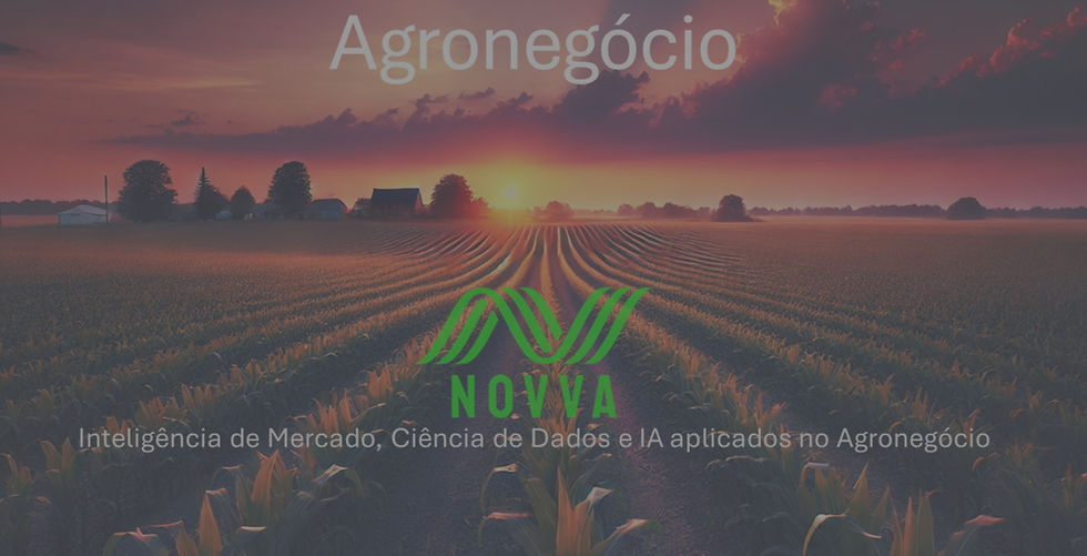 e-book Agro para LinkedIn_edited_edited.jpg