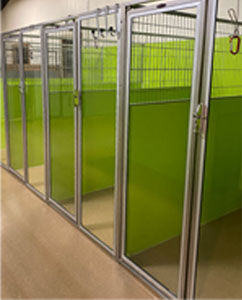 insidekennels.jpg