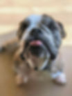 Diesel