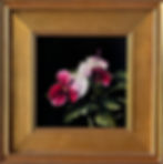 February  ' V I O L E T '