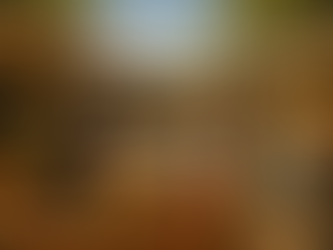 Explore Potchefstroom’s Markets – Local Gems Worth Visiting Every Weekend