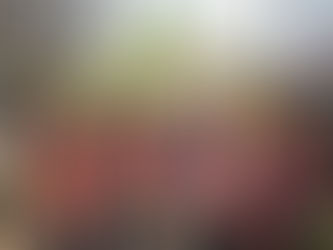 | TROMPOPPIES | La Hoff se meisies kry Noordwes-kleure – Nasionale 2026, ons kom!