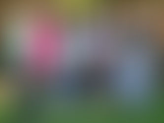 Fochville-Netbaljuffrouens Blink uit met Nuwe Skeidsregter-graderings