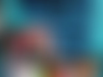 Groot Aankondiging: Fickie Winkel Maak Voorsiening vir 'n Naatlose Begin in 2026!