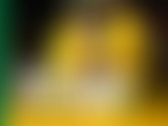 Die Proteas Domineer teen Pakistan: 1-0 Voorsprong in KFC T20I-reeks