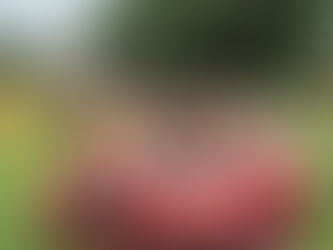 Saamtrek-Rugbyspelers Slyp Vaardighede by KOSH/KHS-Toernooi