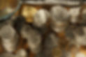 Coin-collecting-basics-scaled.jpg