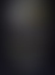 Pro Tork é presença confirmada na Feira Moto Sudeste, em Limeira (SP) 