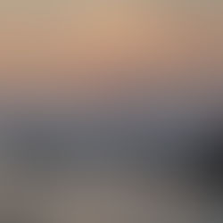 Photography Drop 21