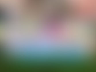 Yard Cards in South Florida: The Fun Way to Celebrate Big Moments