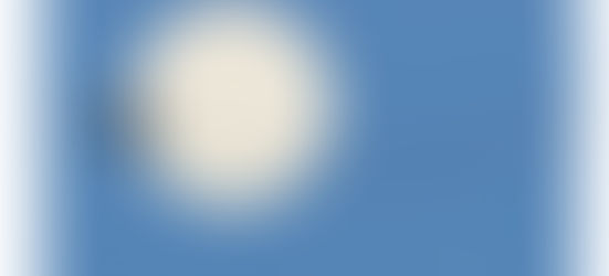 MTWF23 Super Early Bird