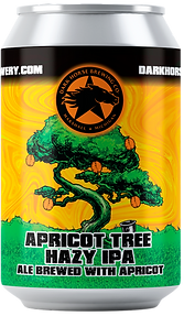 Apricot-Hazy-IPA-front-mockup_edited.png
