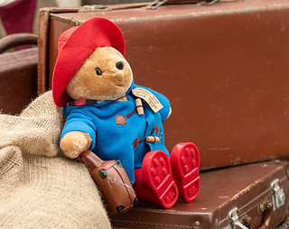 Paddington-2889square.jpg