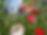 IMG_0548.jpeg