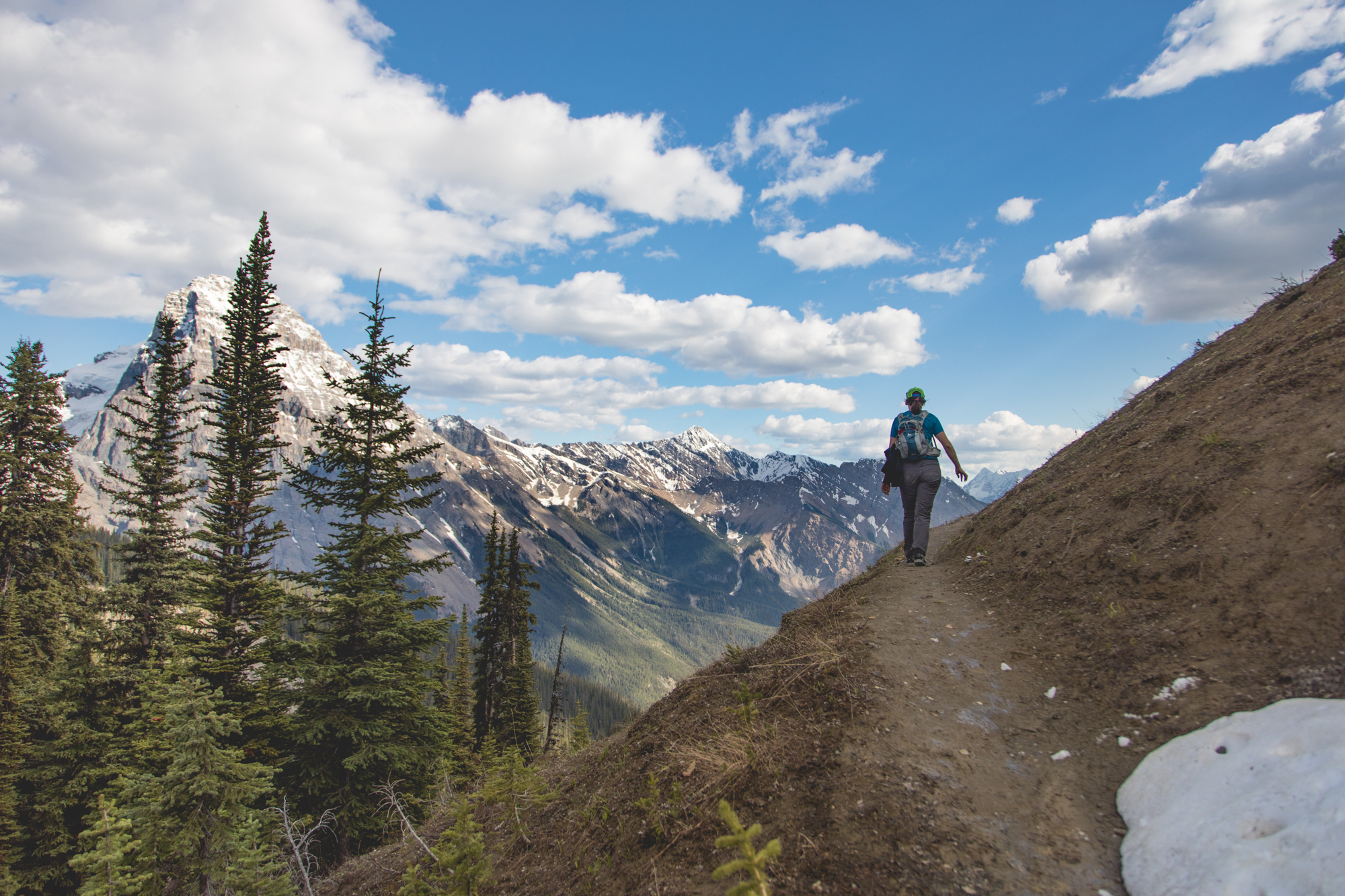 Burgess Shale Geoscience Foundation Guided Fossil Hikes Yoho Park