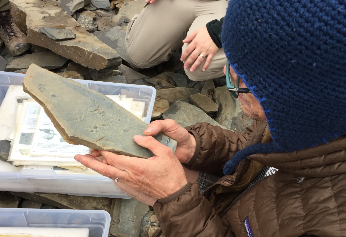 Burgess Shale About the Foundation