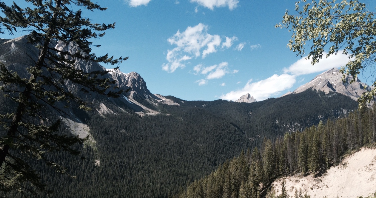 Reservations Burgess Shale Geoscience Foundation Guided Fossil Hikes